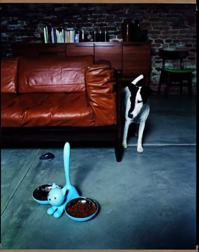 Alessi Tigrito Kattenvoerbak Ø16 Zwart 4 Alessi Tigrito Kattenvoerbak Ø16 Zwart - Afbeelding 2