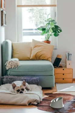 Alessi Wowl Hondenvoerbak 0,5L Zwart -Flos || EMU Winkel x886x886 alessi wowl hondenvoerbak 0 5l2.jpg.pagespeed.ic .x3UruN3XMX