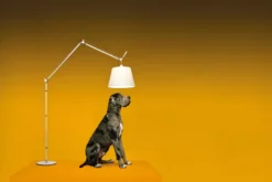 Artemide Tolomeo Mega Terra Booglamp LED 2700K Retro Snoerdimmer Alu Grijs Satijn 36 -Flos || EMU Winkel x886x886 artemide tolomeo mega terra vloerlamp led met snoerdimmer aluminium21.jpg.pagespeed.ic .hZUN EYtxR