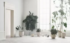 Bolia Gap Bloempot Ø13 Zand -Flos || EMU Winkel x886x886 bolia gap bloempot 134.jpg.pagespeed.ic .LfoI5T5L2k