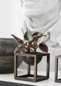 Audo Copenhagen Kubus Bowl Schaal Mini Ø7 Zwart -Flos || EMU Winkel x886x886 by lassen bowl mini woondecoratie15.jpg.pagespeed.ic .2XxSQxqM2j