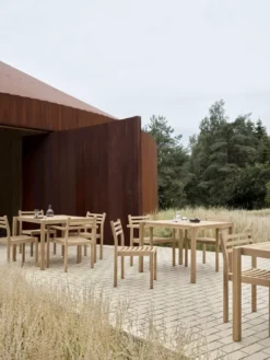 Carl Hansen & Son AH501 Tuinstoel 22 Carl Hansen & Son AH501 Tuinstoel -Flos || EMU Winkel x886x886 carl hansen son ah501 tuinstoel6.jpg.pagespeed.ic .FmkiiQyy2V