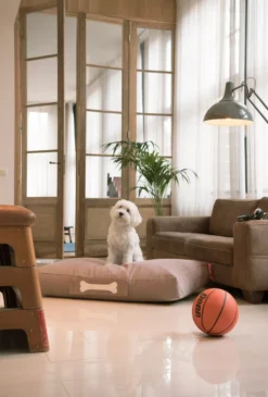 Fatboy Doggielounge Stonewashed Hondenkussen Small Rood -Flos || EMU Winkel x886x886 fatboy doggielounge hondenzitzak15.jpg.pagespeed.ic .HSCnCvjC7F 2