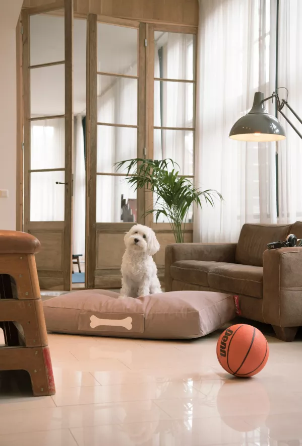 Fatboy Doggielounge Stonewashed Hondenkussen Small Blauw 7 Fatboy Doggielounge Stonewashed Hondenkussen Small Blauw - Afbeelding 5