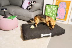 Fatboy Doggielounge Olefin Hondenkussen Small Rock Grey -Flos || EMU Winkel x886x886 fatboy doggielounge olefin hondenkussen large.jpg.pagespeed.ic .AVbvyRuJKk 1