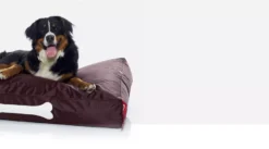 Fatboy Doggielounge Stonewashed Hondenkussen Small Rood -Flos || EMU Winkel x886x886 fatboy doggielounge stonewashed hondenzitzak2.jpg.pagespeed.ic .jUvDqaLm B 2