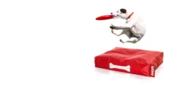 Fatboy Doggielounge Stonewashed Hondenkussen Small Taupe -Flos || EMU Winkel x886x886 fatboy doggielounge stonewashed hondenzitzak4.jpg.pagespeed.ic .3NE9907kU4 1