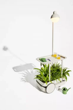 Fatboy Jolly Trolley Incl LED Lamp Tangerine -Flos || EMU Winkel x886x886 fatboy jolly trolley6.jpg.pagespeed.ic .g0ShzyEW6Z