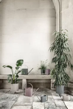 Ferm Living Bau Plantenbak Large Warmgrijs -Flos || EMU Winkel x886x886 ferm living bau gieter large1.jpg.pagespeed.ic .uUb0z0lYiS