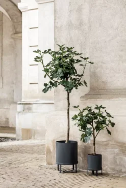 Ferm Living Bau Plantenbak Large Black -Flos || EMU Winkel x886x886 ferm living bau pot small4.jpg.pagespeed.ic .JqjYuHzE7S 1