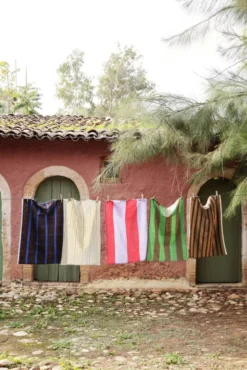 Ferm Living Hale Yarn-dyed Theedoek Chocolate/Bright Blue -Flos || EMU Winkel x886x886 ferm living hale yarn dyed theedoek16.jpg.pagespeed.ic .l4Xn 1Bfi0