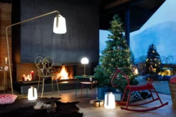 Fermob Cocotte Bijzettafel Large Cactus -Flos || EMU Winkel x886x886 fermob cocotte bijzettafel large24.jpg.pagespeed.ic .k rxPDPwk4