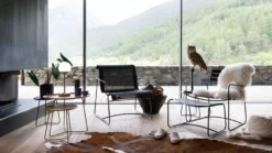 Fermob Cocotte Bijzettafel Large Cactus -Flos || EMU Winkel x886x886 fermob cocotte bijzettafel large27.jpg.pagespeed.ic .ujliyH31Jk