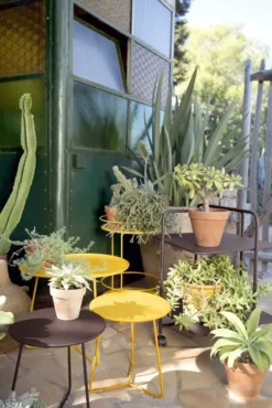 Fermob Cocotte Bijzettafel Large Cactus -Flos || EMU Winkel x886x886 fermob cocotte bijzettafel large30.jpg.pagespeed.ic .H5oYnGAgKO