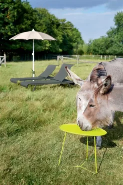 Fermob Cocotte Bijzettafel Large Honey -Flos || EMU Winkel x886x886 fermob cocotte bijzettafel large31.jpg.pagespeed.ic .5nD0ZU7UvE 1