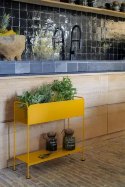 Fermob Picolino Plantenbak Honey -Flos || EMU Winkel x886x886 fermob picolino plantenbak22.jpg.pagespeed.ic . PFskhgU9n