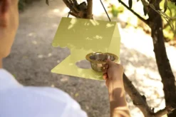 Fermob Picoti Vogelvoederhuisje Cactus -Flos || EMU Winkel x886x886 fermob picoti vogelvoederhuisje16.jpg.pagespeed.ic .QSTPvzulYI 5