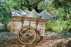 Fermob Évasion Outdoor Kussen 35x70 Panama -Flos || EMU Winkel x886x886 fermob vasion outdoor kussen 68x442.jpg.pagespeed.ic .TBohMq0Lvo