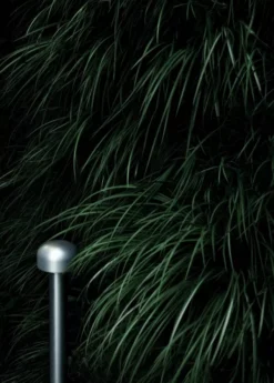 Flos Bellhop Sokkellamp LED Laag Donkerbruin -Flos || EMU Winkel x886x886 flos bellhop sokkellamp led laag3.jpg.pagespeed.ic .ix25f2Kfdw