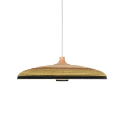 Forestier Grass Hanglamp Ø80 Large Groen -Flos || EMU Winkel x886x886 forestier grass hanglamp large.jpg.pagespeed.ic .Q2ULMMeDTj