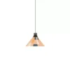Forestier Parrot Hanglamp Ø26 Extra Small Zand -Flos || EMU Winkel x886x886 forestier parrot hanglamp extra small1.jpg.pagespeed.ic .00ThIiZyrP