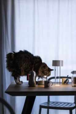 Foscarini Fleur Tafellamp LED Burgundy -Flos || EMU Winkel x886x886 foscarini fleur tafellamp led3.jpg.pagespeed.ic .5ic3EsbWSU