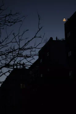 Foscarini Twiggy Grid Outdoor Booglamp LED Greige -Flos || EMU Winkel x886x886 foscarini twiggy grid vloerlamp outdoor led8.jpg.pagespeed.ic .466Ls oFUO