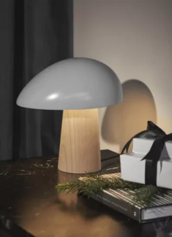 Fritz Hansen Night Owl Tafellamp Smokey Wit Gelakt Essenhout -Flos || EMU Winkel x886x886 fritz hansen night owl tafellamp.jpg.pagespeed.ic .vcWJWF16ca