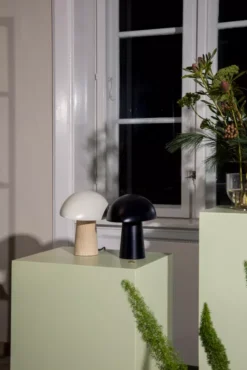 Fritz Hansen Night Owl Tafellamp Smokey Wit Gelakt Essenhout -Flos || EMU Winkel x886x886 fritz hansen night owl tafellamp15.jpg.pagespeed.ic .lc7xEVmk8n