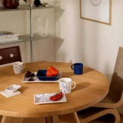 Iittala Oiva Toikka Mok 0,3L Twig -Flos || EMU Winkel x886x886 iittala oiva toikka mok 0 3l16.jpg.pagespeed.ic .g32l6HVbSg