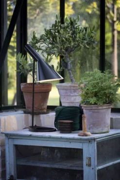 Louis Poulsen AJ Bureaulamp V3 Stainless Steel -Flos || EMU Winkel x886x886 ikast orangeri 01.jpg.pagespeed.ic .LGk2eAArNB