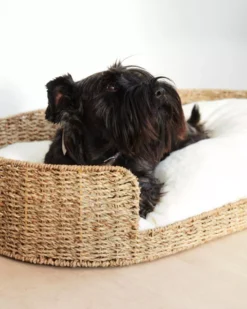 Kave Home Codie Hondenkussen 50x80 -Flos || EMU Winkel x886x886 kave home fliicker hondenmand 35x60.jpg.pagespeed.ic .987t0B1yU3 1