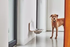 MiaCara Arco Hondenvoerbak Wand Medium/large Grijs 11 MiaCara Arco Hondenvoerbak Wand Medium/large Grijs -Flos || EMU Winkel x886x886 miacara arco hondenvoerbak wand3.jpg.pagespeed.ic .ybd NyJ9nh 2