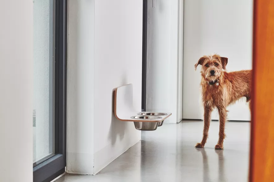 MiaCara Arco Hondenvoerbak Wand Medium/large Grijs 5 MiaCara Arco Hondenvoerbak Wand Medium/large Grijs - Afbeelding 3