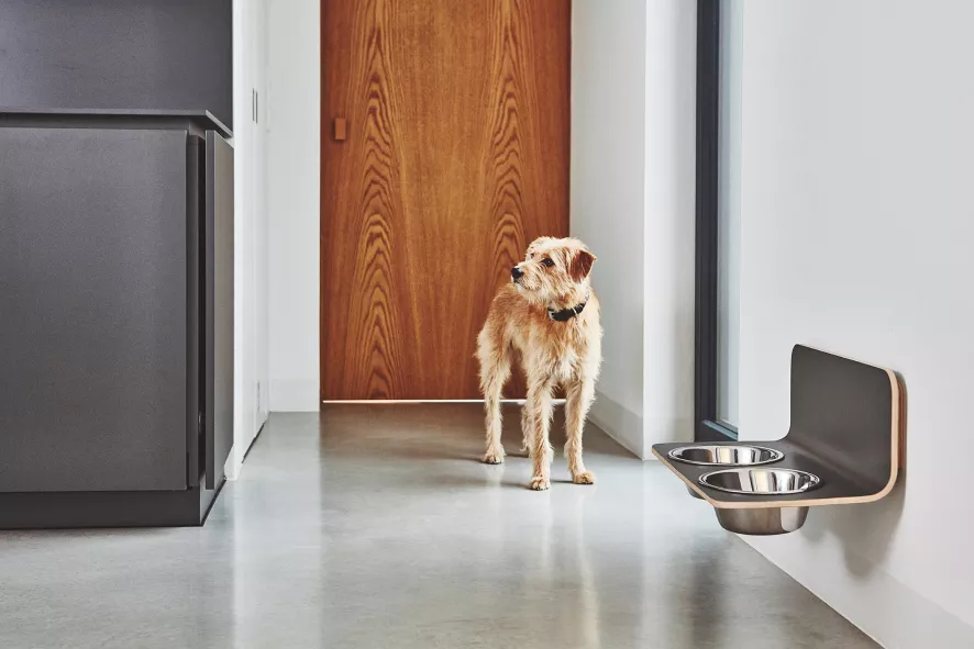 MiaCara Arco Hondenvoerbak Wand Medium/large Grijs 6 MiaCara Arco Hondenvoerbak Wand Medium/large Grijs - Afbeelding 4