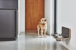 MiaCara Arco Hondenvoerbak Wand Small/medium Wit -Flos || EMU Winkel x886x886 miacara arco hondenvoerbak wand4.jpg.pagespeed.ic .9DwEL37U2 3