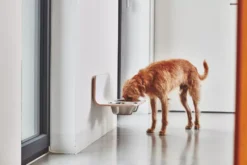 MiaCara Arco Hondenvoerbak Wand Medium/large Wit -Flos || EMU Winkel x886x886 miacara arco hondenvoerbak wand7.jpg.pagespeed.ic .jXKAlx6rHo