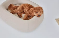 MiaCara Barca Hondenmand Medium/large Slate -Flos || EMU Winkel x886x886 miacara barca hondenmand medium large10.jpg.pagespeed.ic .m4eD0mqXDB