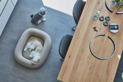 MiaCara Barca Hondenmand Medium/large Slate -Flos || EMU Winkel x886x886 miacara barca hondenmand medium large14.jpg.pagespeed.ic .8Xr8X7tvcd