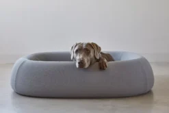 MiaCara Barca Hondenmand Medium/large Slate -Flos || EMU Winkel x886x886 miacara barca hondenmand medium large6.jpg.pagespeed.ic .4p zq FMM2