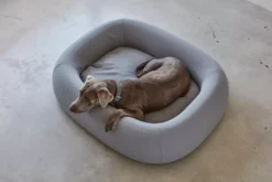 MiaCara Barca Hondenmand Medium/large Slate -Flos || EMU Winkel x886x886 miacara barca hondenmand medium large7.jpg.pagespeed.ic .Yy0cR3k0cG