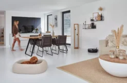 MiaCara Barca Hondenmand Medium/large Slate -Flos || EMU Winkel x886x886 miacara barca hondenmand medium large9.jpg.pagespeed.ic .M58YswOEa4