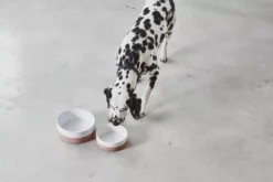 MiaCara Coppa Hondenvoerbak Small/medium Ø17.5 Nude 9 MiaCara Coppa Hondenvoerbak Small/medium Ø17.5 Nude -Flos || EMU Winkel x886x886 miacara coppa hondenvoerbak medium large3.jpg.pagespeed.ic .nO3WWk0rX6