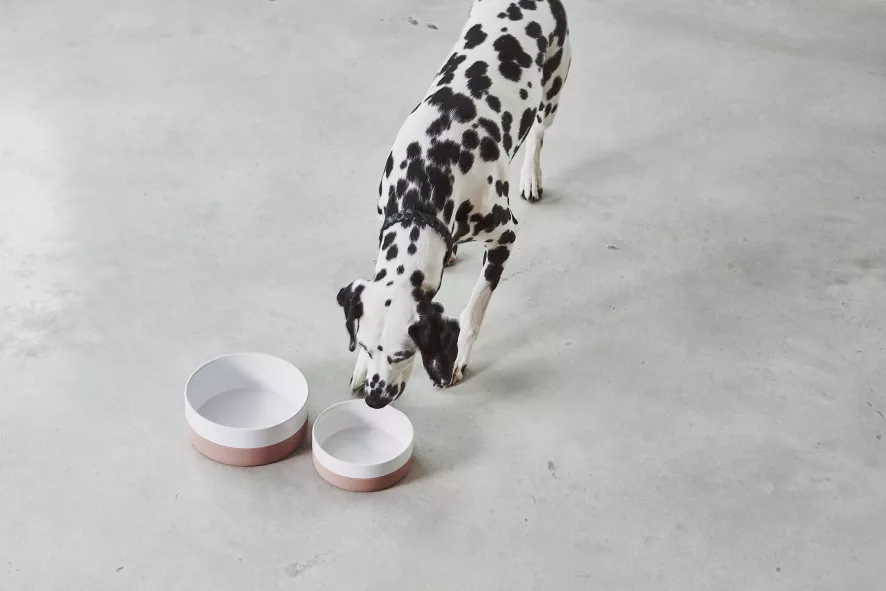 MiaCara Coppa Hondenvoerbak Small/medium Ø17.5 Nude 5 MiaCara Coppa Hondenvoerbak Small/medium Ø17.5 Nude - Afbeelding 3