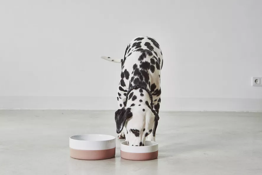 MiaCara Coppa Hondenvoerbak Small/medium Ø17.5 Nude 4 MiaCara Coppa Hondenvoerbak Small/medium Ø17.5 Nude - Afbeelding 2