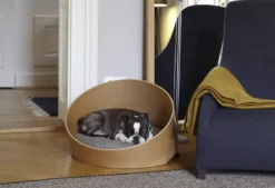 MiaCara Covo Hondenmand Ø60 Eiken, Kussen Ivory -Flos || EMU Winkel x886x886 miacara covo hondenmand small.jpeg.pagespeed.ic .ju2fP3 4qd