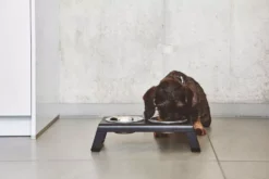 MiaCara Desco Hondenvoerbak Medium Essen Grijs -Flos || EMU Winkel x886x886 miacara desco hondenvoerbak medium22.jpg.pagespeed.ic .fb36z3ar8a 8