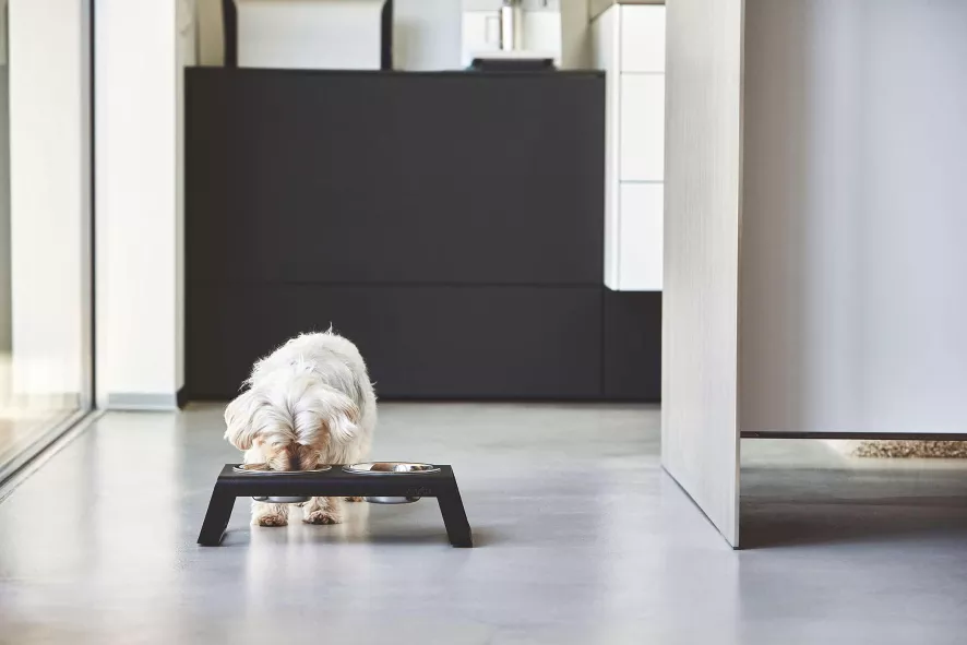 MiaCara Desco Hondenvoerbak Small Essen Naturel 9 MiaCara Desco Hondenvoerbak Small Essen Naturel - Afbeelding 7