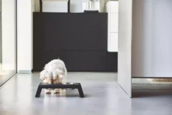 MiaCara Desco Hondenvoerbak Small Aluminium Wit 15 MiaCara Desco Hondenvoerbak Small Aluminium Wit -Flos || EMU Winkel x886x886 miacara desco hondenvoerbak medium23.jpg.pagespeed.ic .l3VZwi4VJ2 5