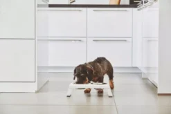 MiaCara Desco Hondenvoerbak Small Aluminium Grijs -Flos || EMU Winkel x886x886 miacara desco hondenvoerbak medium24.jpg.pagespeed.ic .aUY84Z4sB